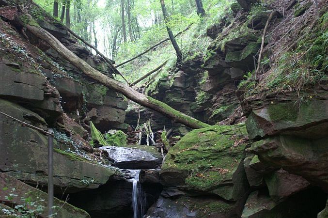 Bild Waldbrunn (Odenwald)