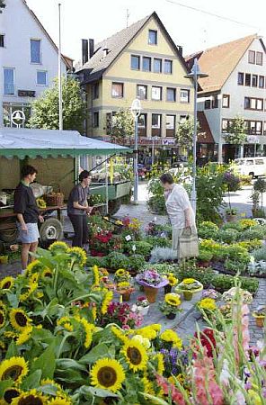 Bild Leinfelden-Echterdingen