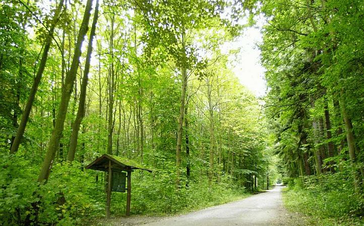 Bild Leinfelden-Echterdingen