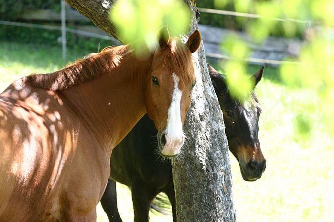 Bild St. Johann (Württemberg)
