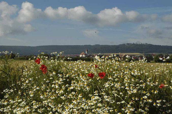 Bild Westhausen (Württemberg)