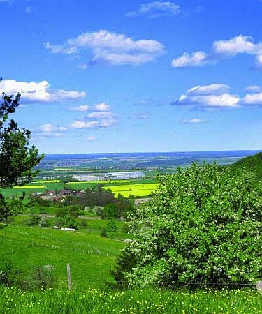 Bild Waldenburg (Württemberg)