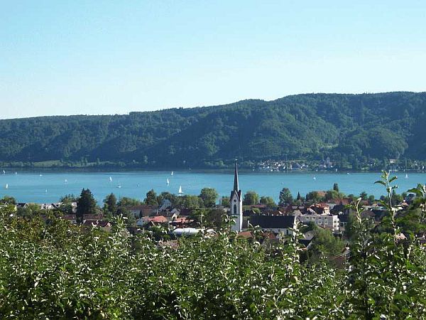 Bild Bodman-Ludwigshafen