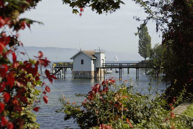 Bild Bodman-Ludwigshafen