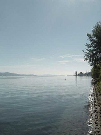 Bild Bodman-Ludwigshafen