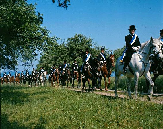 Bild Weingarten (Württemberg)