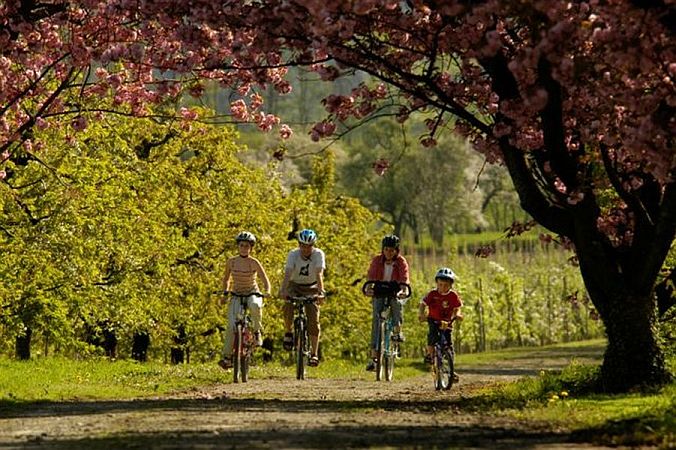 Bild Deggenhausertal