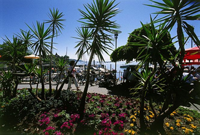 Bild Hagnau am Bodensee