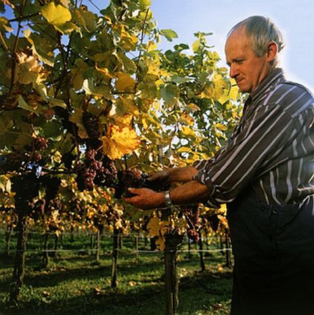 Bild Hagnau am Bodensee
