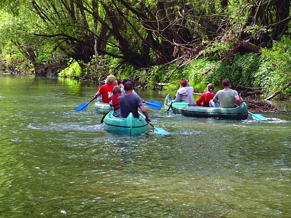 Bild Bad Mergentheim