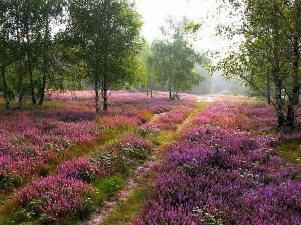 Bild Schloß Holte-Stukenbrock