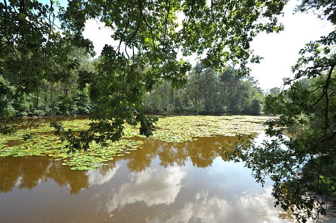 Bild Heiden (Münsterland)