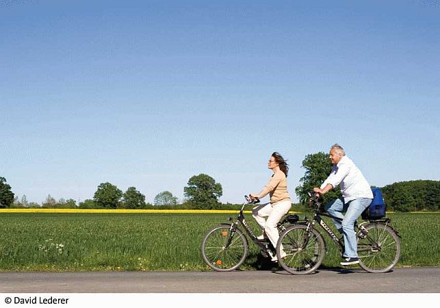 Bild Münster (Westfalen)