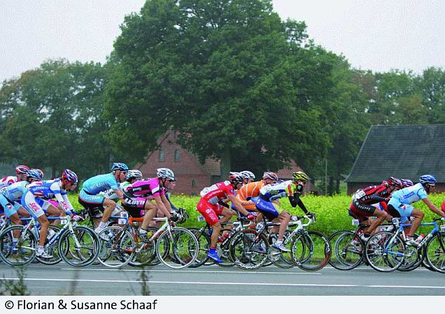 Bild Münster (Westfalen)