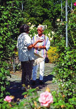 Bild Lüdinghausen
